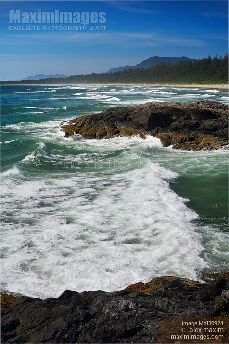 Green Point beach with big tidal waves crashing against the rocks at Pacific Rim National Park Tofino Stock photo of Green Point beach with big tidal waves crashing against the rocks at Pacific Rim National Park Tofino Buy commercial use license at MaximImages