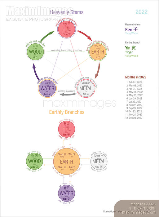 Stock image of Heavenly Stems and Earthly Branches Five Elements chart Wuxing illustration Buy commercial use license at MaximImages