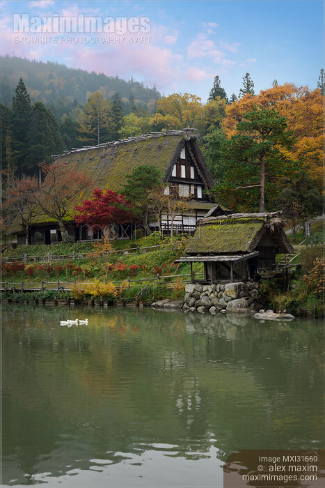 Hida Folk Village rural scenery Traditional Japanese Gassho-style house by a pond in autumn Takayama Stock photo of Hida Folk Village rural scenery Traditional Japanese Gassho-style house by a pond in autumn Takayama Buy commercial use license at MaximImages