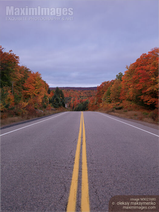 Highway Surrounded with Colorful Autumn Nature Stock photo of Highway Surrounded with Colorful Autumn Nature Buy commercial use license at MaximImages