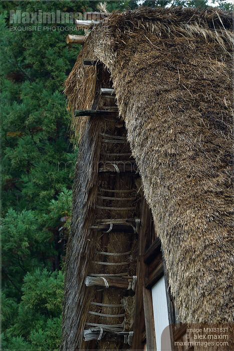 Historic Japanese Gassho style rural house thatched roof architectural details Stock photo of Historic Japanese Gassho style rural house thatched roof architectural details Buy commercial use license at MaximImages