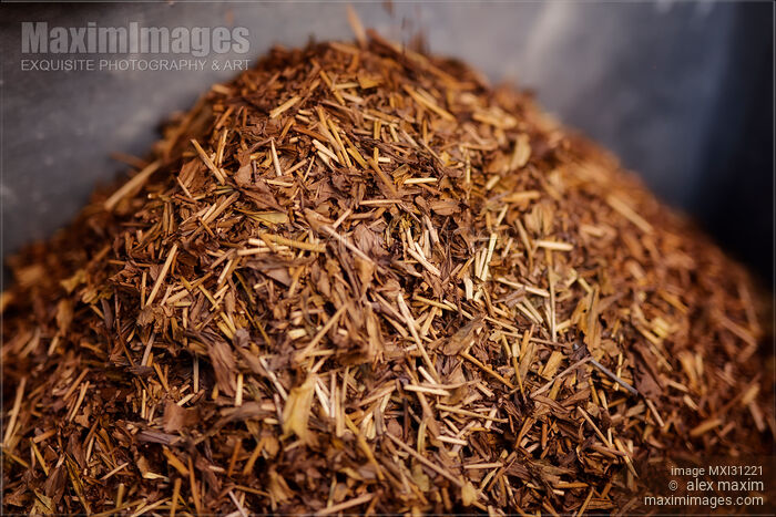 Hojicha Hoji cha Japanese roasted green tea made in the city of Uji Stock photo of Hojicha Hoji cha Japanese roasted green tea made in the city of Uji Buy commercial use license at MaximImages