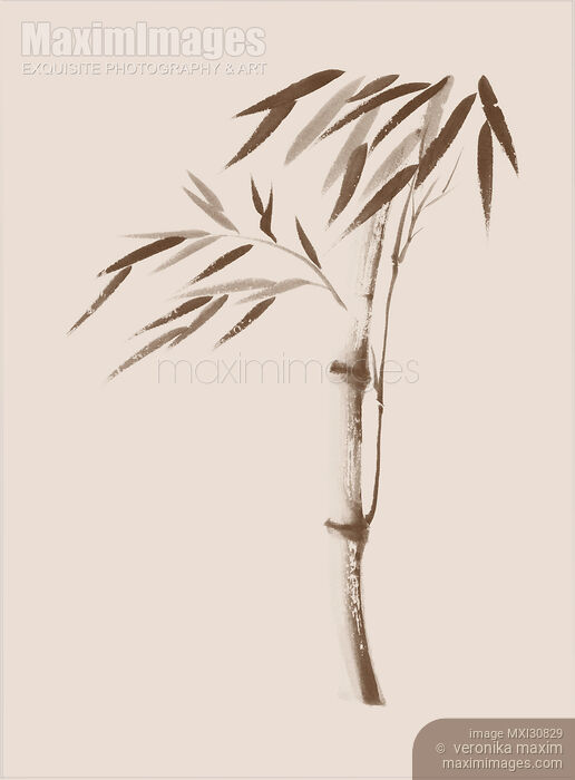 Illustration of a bamboo stalk with leaves in beige and brown Japanese Zen artwork Stock image of Illustration of a bamboo stalk with leaves in beige and brown Japanese Zen artwork Buy commercial use license at MaximImages