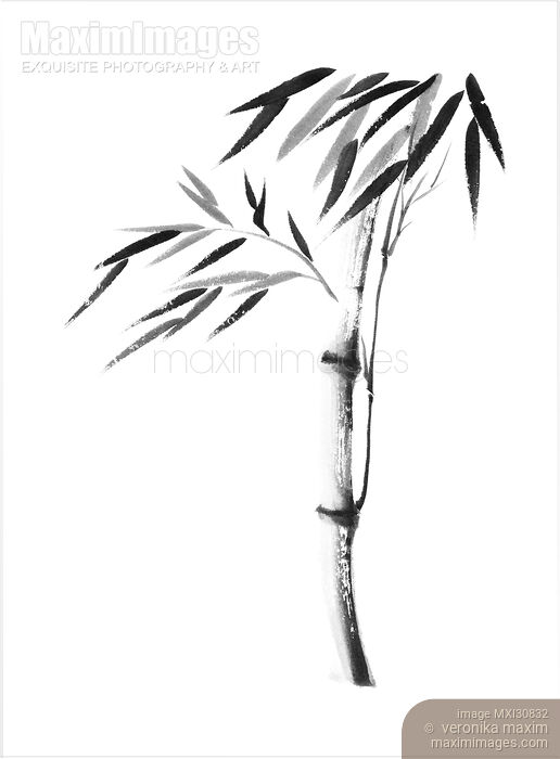 Illustration of a bamboo stalk with leaves in black and white Japanese Zen Sumi-e artwork Stock image of Illustration of a bamboo stalk with leaves in black and white Japanese Zen Sumi-e artwork Buy commercial use license at MaximImages