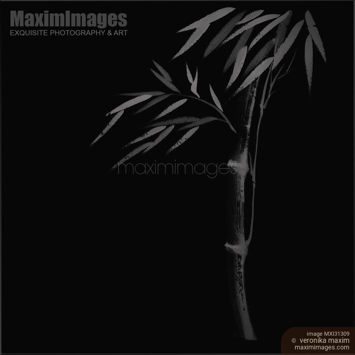 Illustration of a bamboo stalk with leaves Japanese Zen art in black and grey colors Stock image of Illustration of a bamboo stalk with leaves Japanese Zen art in black and grey colors Buy commercial use license at MaximImages
