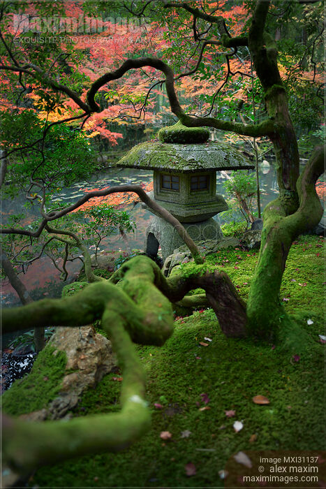 Ishidoro stone lantern at a Japanese pond garden Stock photo of Ishidoro stone lantern at a Japanese pond garden Buy commercial use license at MaximImages
