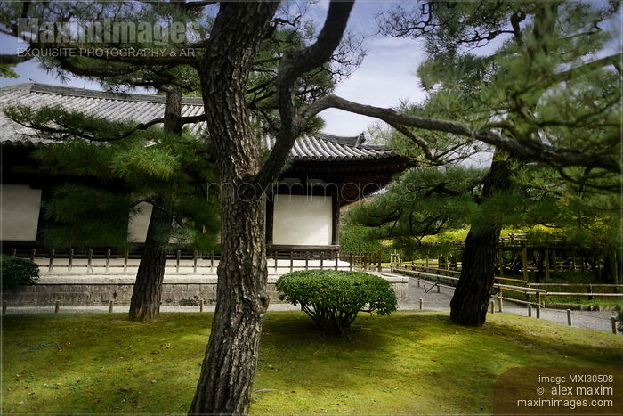 Japanese garden with black pines in front of a historic building Kannon-do Byodoin in Japan Stock photo of Japanese garden with black pines in front of a historic building Kannon-do Byodoin in Japan Buy commercial use license at MaximImages