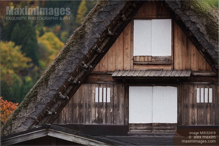 Stock photo of Japanese Gassho-style farmhouse with thatched roof Buy commercial use license at MaximImages