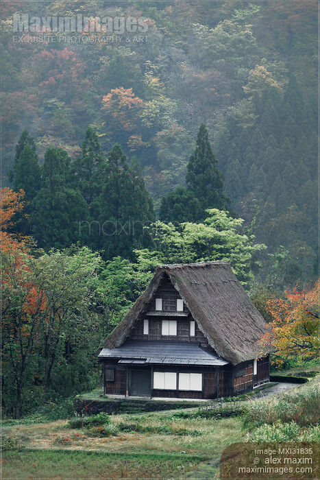 Stock photo of Japanese Gassho-style historic rural house with thatched roof in Ainokura mountain village Buy commercial use license at MaximImages
