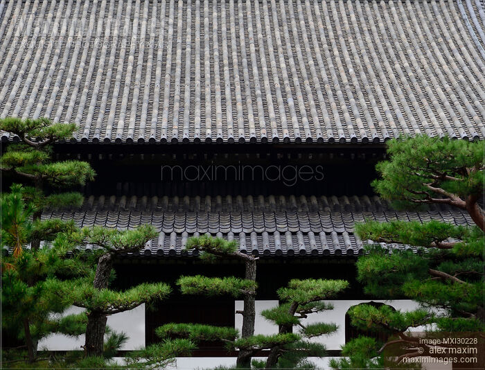 Japanese pines in front of Tofukuji temple building in Kyoto Stock photo of Japanese pines in front of Tofukuji temple building in Kyoto Buy commercial use license at MaximImages