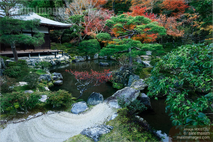 Japanese pond garden near Kannon-den hall of Jisho-ji Temple of the Silver Pavilion in autumn scenery Stock photo of Japanese pond garden near Kannon-den hall of Jisho-ji Temple of the Silver Pavilion in autumn scenery Buy commercial use license at MaximImages