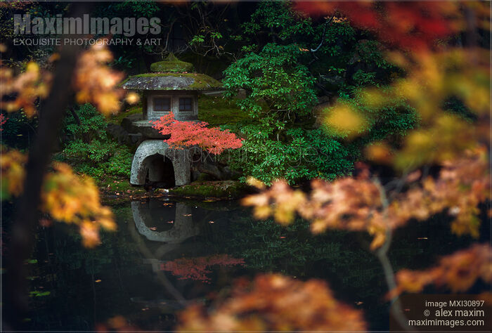 Stock photo of Japanese stone lantern Ishi-doro reflecting in the water of Tenju-an Temple pond garden in Kyoto Buy commercial use license at MaximImages