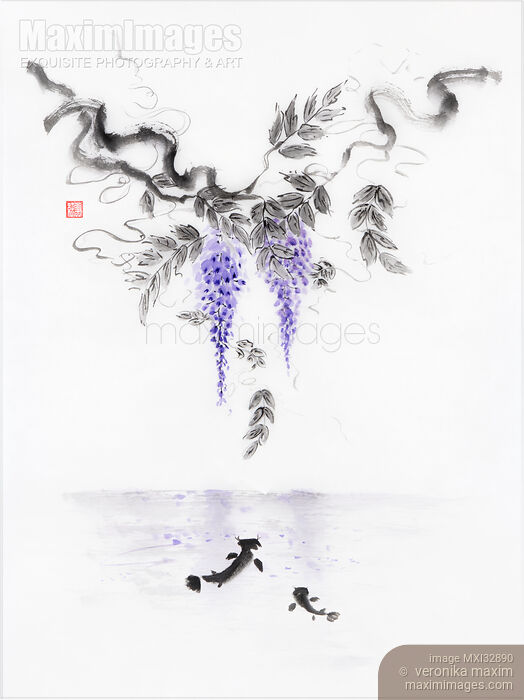 Stock image of Japanese sumi-e Zen painting of two Koi fish and wisteria flowers Buy commercial use license at MaximImages