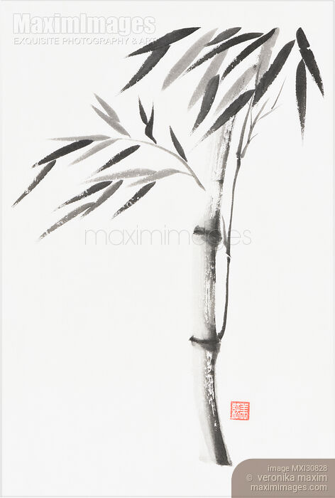 Japanese Zen painting of Bamboo stalk with leaves black ink on white rice paper Stock image of Japanese Zen painting of Bamboo stalk with leaves black ink on white rice paper Buy commercial use license at MaximImages