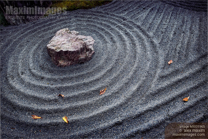 Stock photo of Japanese Zen rock garden fragment with circular waves radiating from a stone Buy commercial use license at MaximImages