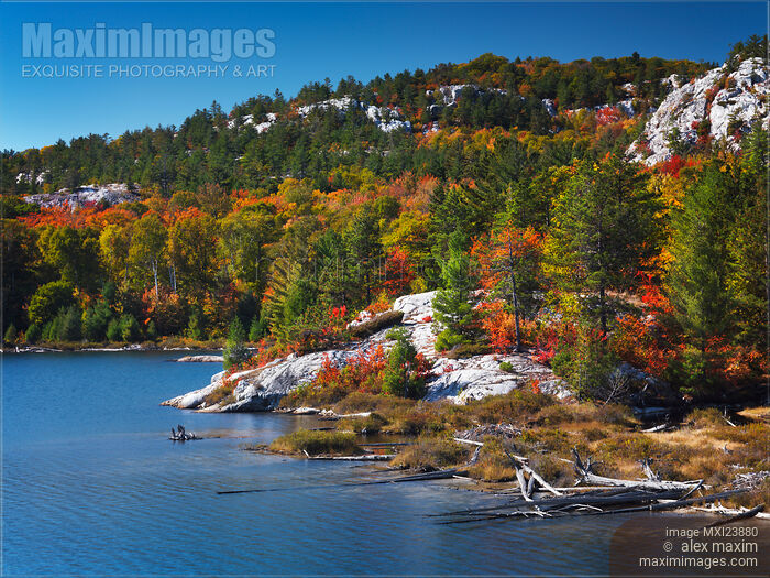 Stock photo of Killarney Provincial Park in Fall Buy commercial use license at MaximImages