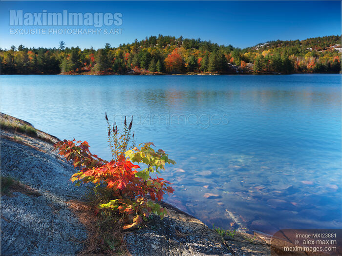 Killarney Provincial Park in Fall Stock photo of Killarney Provincial Park in Fall Buy commercial use license at MaximImages