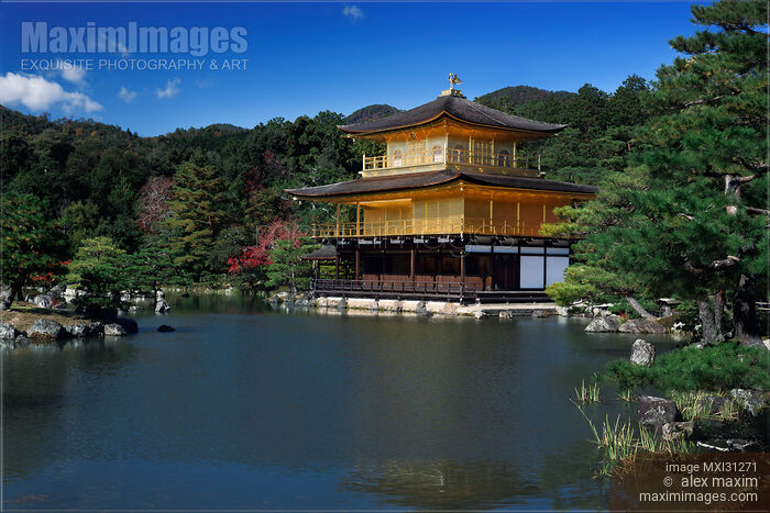 Stock photo of Kinkaku-ji Temple of the Golden Pavilion Rokuon-ji Kyoto Buy commercial use license at MaximImages
