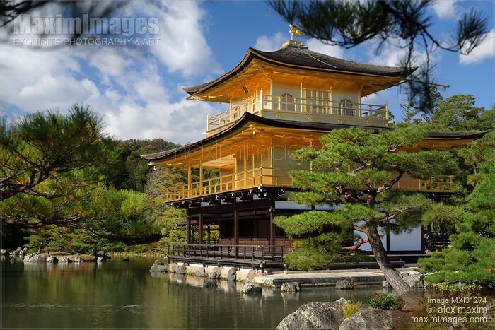 Kinkaku-ji Temple of the Golden Pavilion shining in sunlight Rokuon-ji Stock photo of Kinkaku-ji Temple of the Golden Pavilion shining in sunlight Rokuon-ji Buy commercial use license at MaximImages