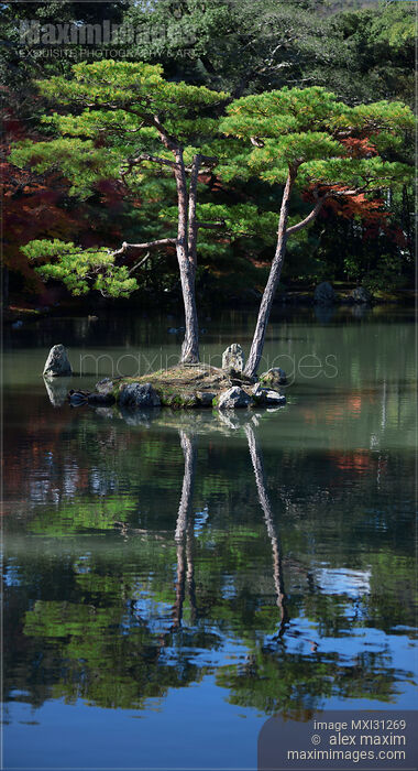 Stock photo of Kinkaku-ji temple Zen garden with two pine trees on an island in a pond Buy commercial use license at MaximImages