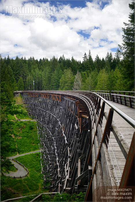 Kinsol Trestle over Koksilah river Vancouver Island BC Stock photo of Kinsol Trestle over Koksilah river Vancouver Island BC Buy commercial use license at MaximImages