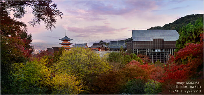 Stock photo of Kiyomizu-dera Buddhist temple main hall restoration Kyoto Buy commercial use license at MaximImages
