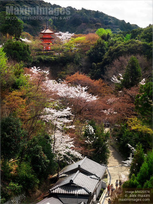 Kiyomizu-dera Buddhist temple pagoda in Kyoto Japan Stock photo of Kiyomizu-dera Buddhist temple pagoda in Kyoto Japan Buy commercial use license at MaximImages