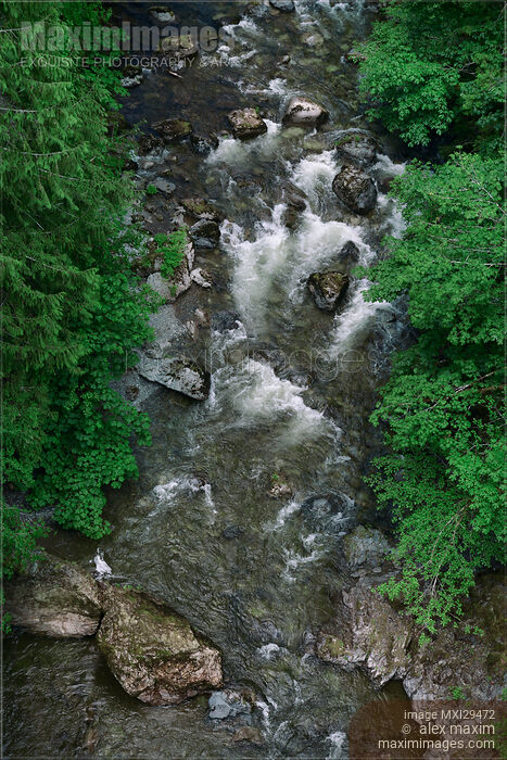 Stock photo of Koksilah river overhead view Vancouver Island BC Buy commercial use license at MaximImages