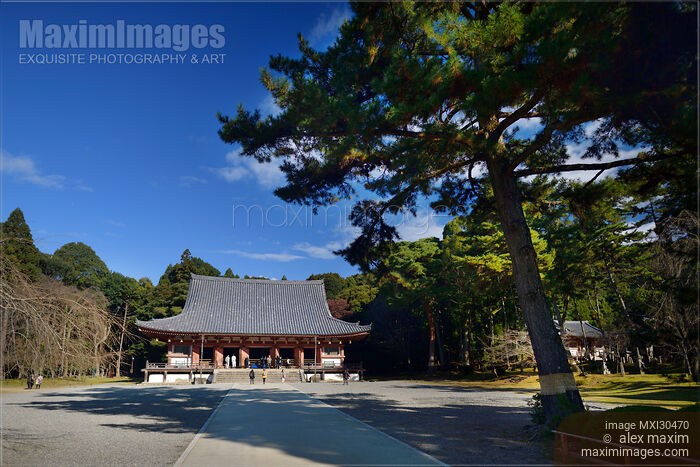 Stock photo of Kondo hall of Daigo-ji temple in Kyoto Japan Buy commercial use license at MaximImages