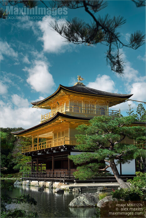 Stock photo of Kyoto Kinkakuji Temple of the Golden Pavilion in a beautiful pond Zen garden scenery Buy commercial use license at MaximImages