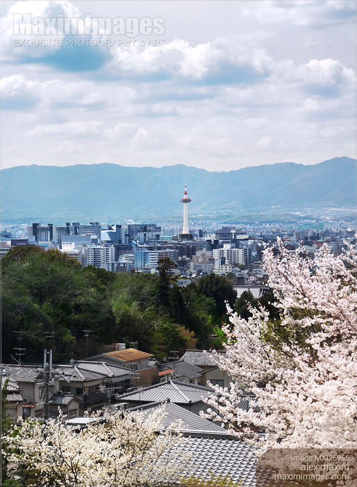 Kyoto tower during cherry blossom Stock photo of Kyoto tower during cherry blossom Buy commercial use license at MaximImages