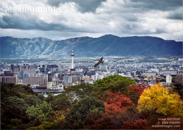 Stock photo of Kyoto tower in the city landscape with eagle flying by under dramatic stormy sky Buy commercial use license at MaximImages