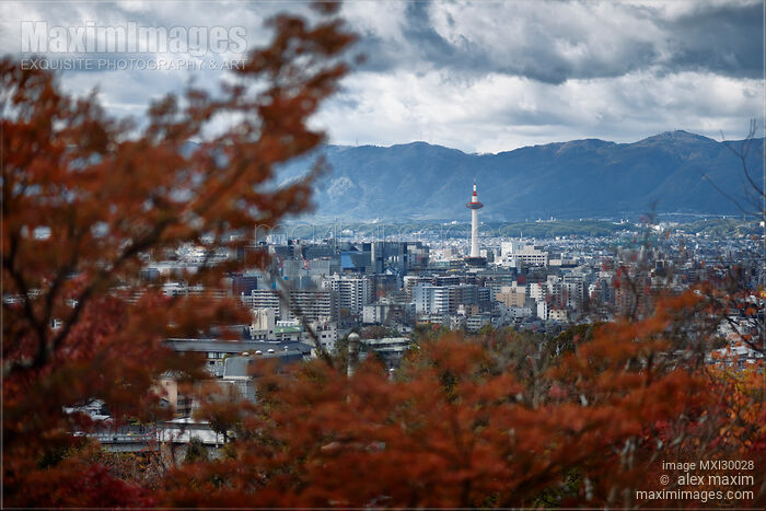 Stock photo of Kyoto tower under dramatic sky in aerial city scenery behind red autumn trees Buy commercial use license at MaximImages