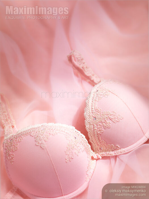Lace bra pink lingerie Stock photo of Lace bra pink lingerie Buy commercial use license at MaximImages
