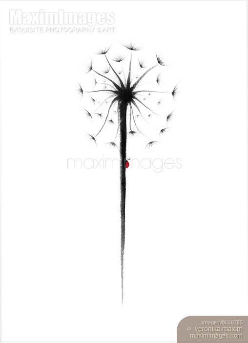 Stock image of Ladybug on a dandelion abstract Zen painting illustration design Buy commercial use license at MaximImages