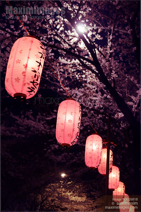 Stock photo of Lanterns at night Nakano station Tokyo Buy commercial use license at MaximImages