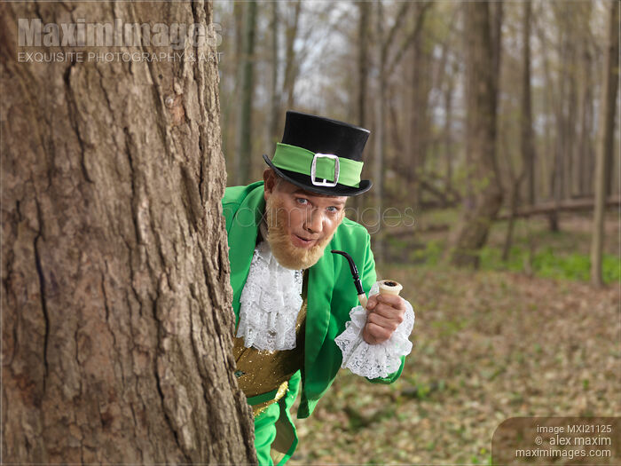 Stock photo of Leprechaun Buy commercial use license at MaximImages