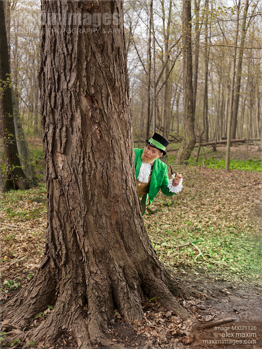 Stock photo of Leprechaun Buy commercial use license at MaximImages