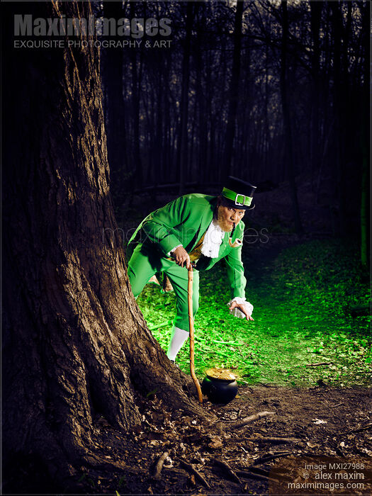 Leprechaun with a pot of gold in a forest Stock photo of Leprechaun with a pot of gold in a forest Buy commercial use license at MaximImages