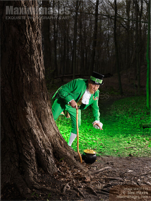 Leprechaun with Pot of Gold Stock photo of Leprechaun with Pot of Gold Buy commercial use license at MaximImages