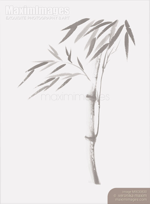 Light gray illustration of a bamboo stalk with leaves Japanese Zen Sumi-e artwork Stock image of Light gray illustration of a bamboo stalk with leaves Japanese Zen Sumi-e artwork Buy commercial use license at MaximImages