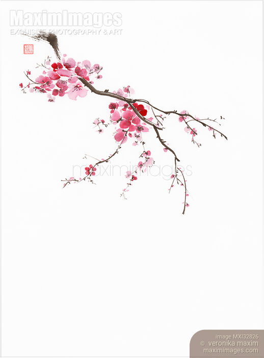 Little blossoming sakura branch with delicate purple pink flowers Oriental Zen style sumi-e artwork Stock image of Little blossoming sakura branch with delicate purple pink flowers Oriental Zen style sumi-e artwork Buy commercial use license at MaximImages