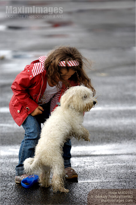 Stock photo of Little Girl with a Dog in Rain Buy commercial use license at MaximImages