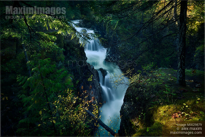 Little Qualicum Falls Provincial Park beautiful waterfall autumn nature scenery at Vancouver Island Canada Stock photo of Little Qualicum Falls Provincial Park beautiful waterfall autumn nature scenery at Vancouver Island Canada Buy commercial use license at MaximImages