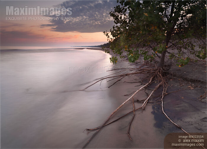 Stock photo of Long Point Beach Buy commercial use license at MaximImages