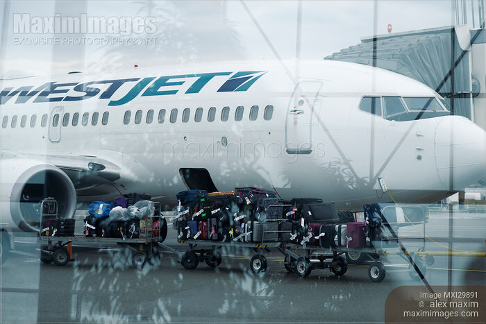 Stock photo of Luggage carrier train by WestJet airplane at an airport Buy commercial use license at MaximImages