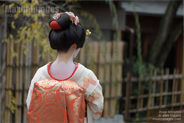 Maiko in white kimono with red collar showing skin makeup on the back of her neck in a traditional wig Kyoto Japan Stock photo of Maiko in white kimono with red collar showing skin makeup on the back of her neck in a traditional wig Kyoto Japan Buy commercial use license at MaximImages