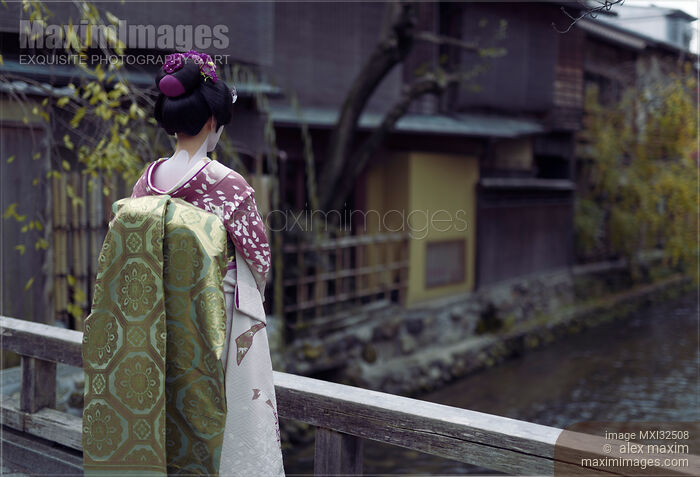 Maiko Japanese young woman Geiko apprentice in a purple kimono with long obi looking at the river Stock photo of Maiko Japanese young woman Geiko apprentice in a purple kimono with long obi looking at the river Buy commercial use license at MaximImages