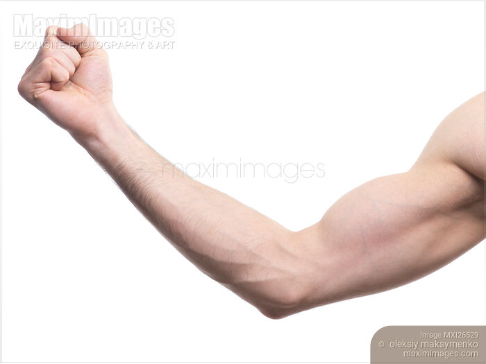 Stock photo of Man arm with hand in a fist Buy commercial use license at MaximImages