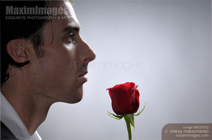 Man with a Red Rose Stock photo of Man with a Red Rose Buy commercial use license at MaximImages